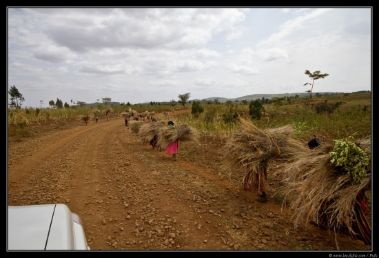 Ethiopie