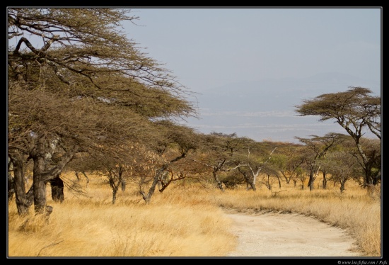 Ethiopie