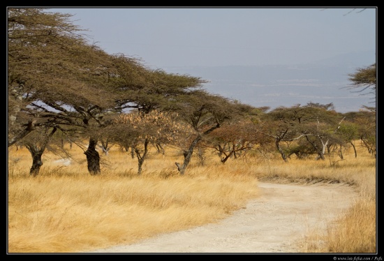 Ethiopie