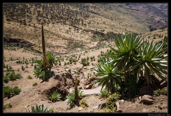 Ethiopie