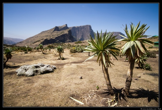 Ethiopie