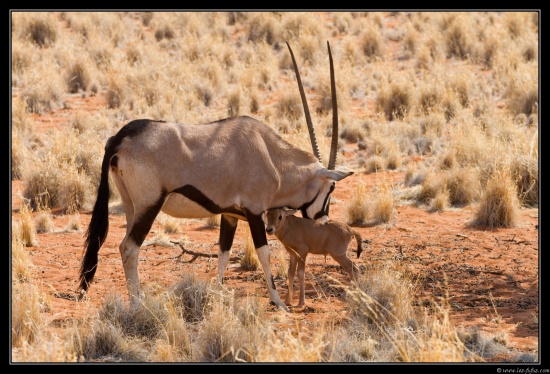 Namibie