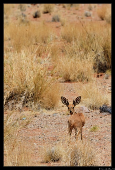 Namibie