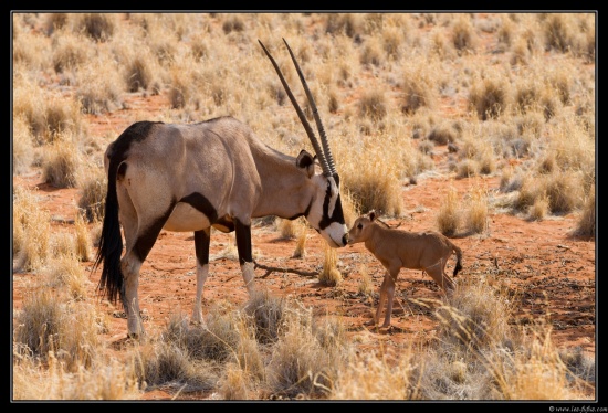 Namibie