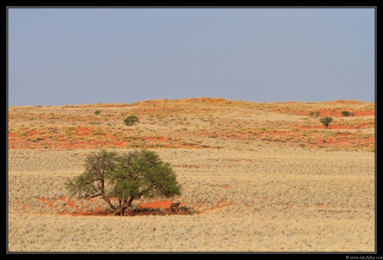 Namibie