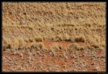 Namibie