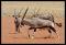 Namibie