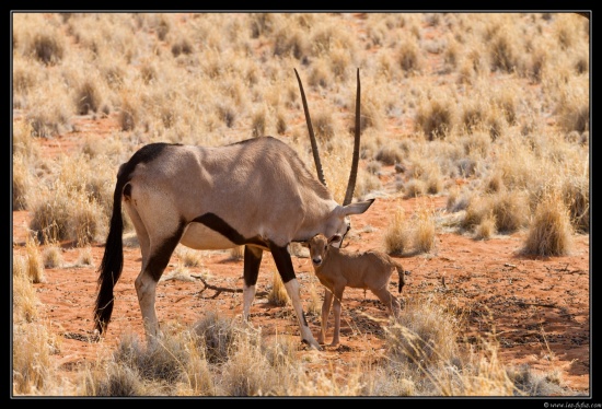 Namibie