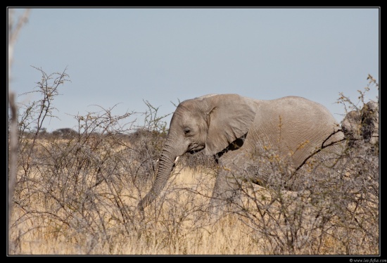 Namibie