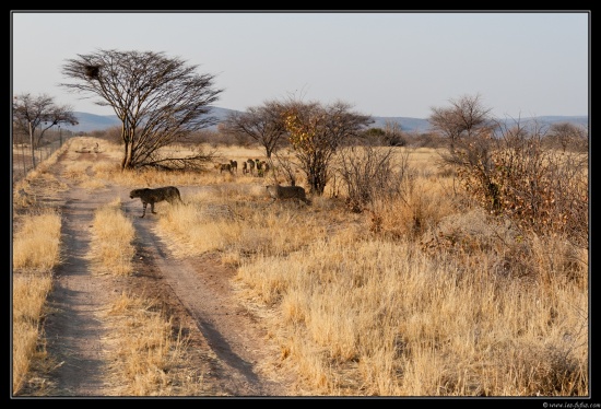 Namibie