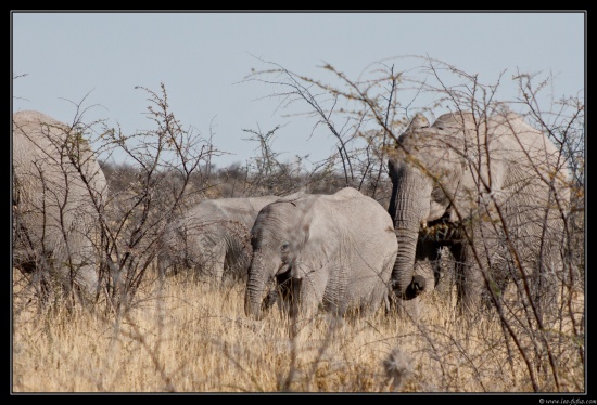 Namibie