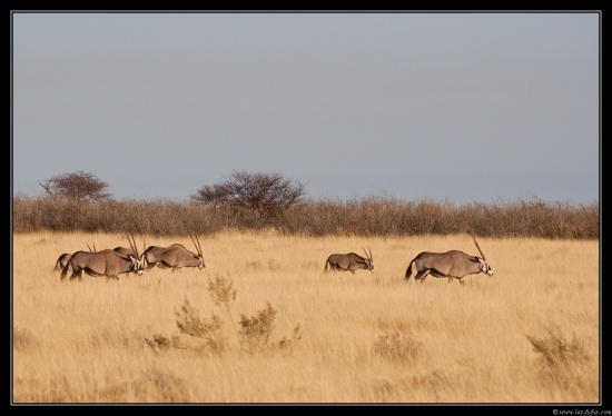 Namibie