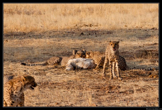 Namibie