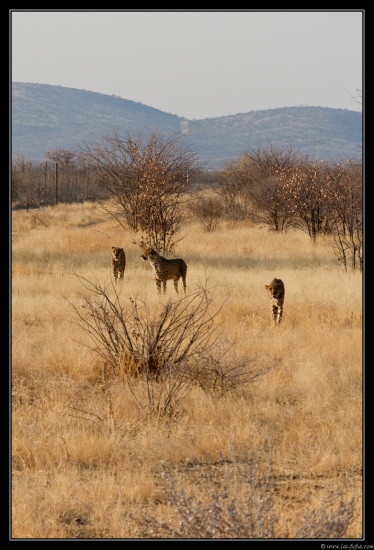 Namibie