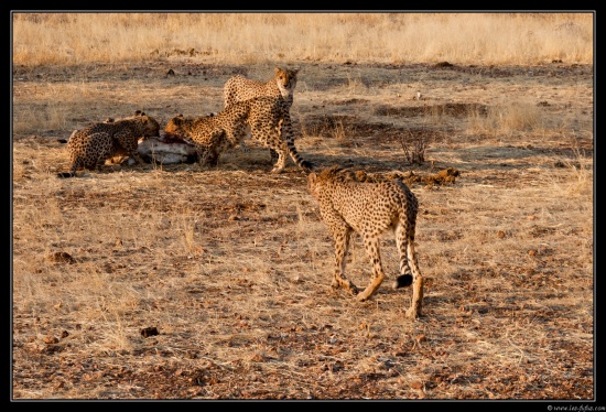 Namibie