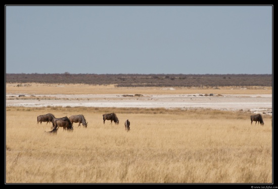 Namibie