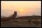 Namibie