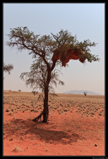Namibie