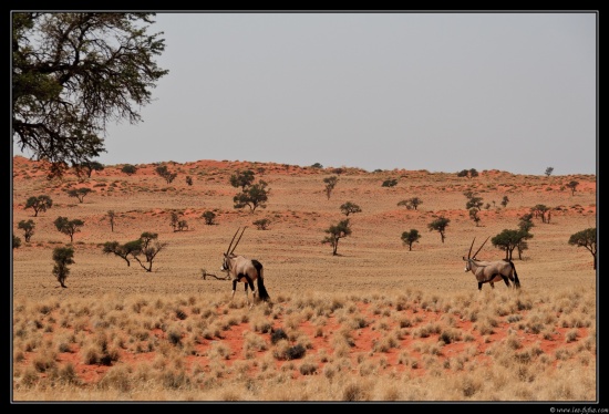 Namibie