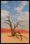 Namibie
