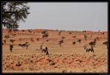 Namibie