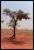 Namibie