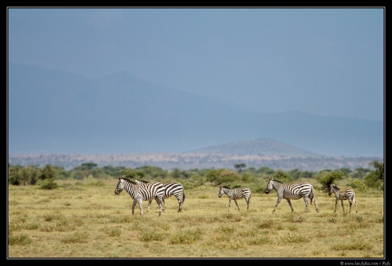 Tanzanie 2014