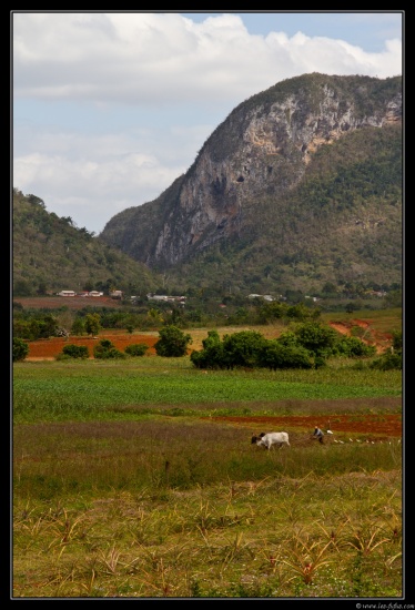 Cuba