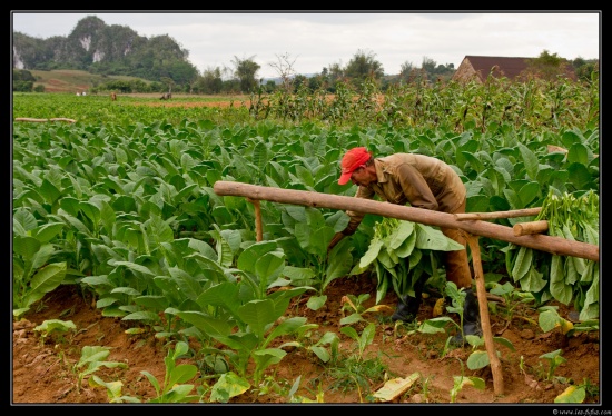 Cuba