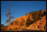 b121006 - 0345 - Bryce Canyon