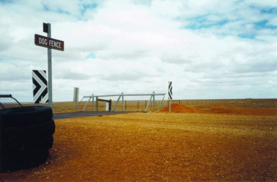 a_0045 - Dog Fence
