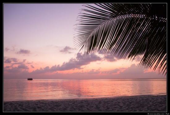 Maldives