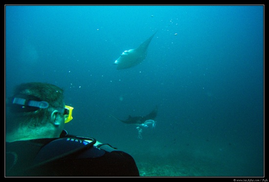 Maldives