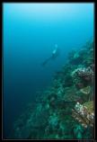 Maldives