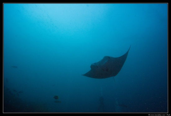 Maldives