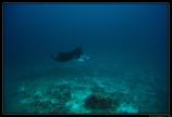 Maldives