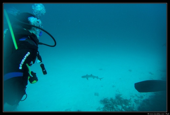 Maldives