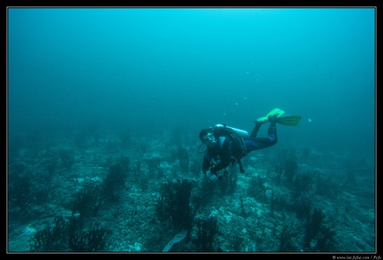 Maldives