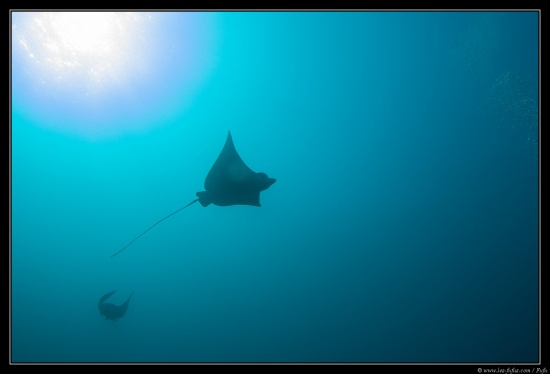 Maldives