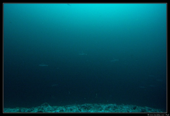 Maldives