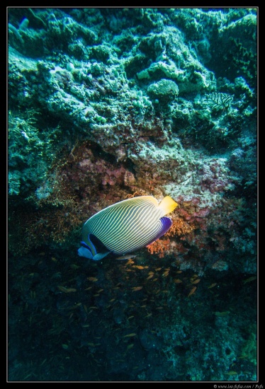 Maldives