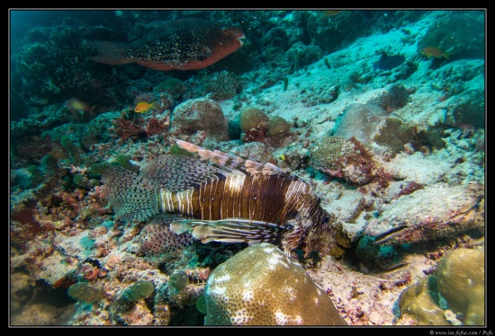 Maldives