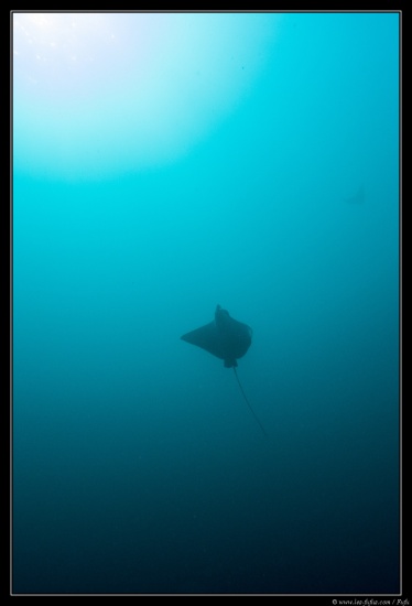 Maldives