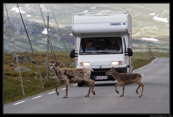 Norvège 2016