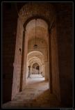 b220417 - 7D - 0208 - Raw -1500px