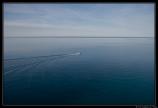 b220415 - 400D - 0016 - Raw -1500px