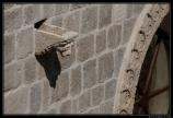 b220415 - 400D - 0047 - Raw -1500px