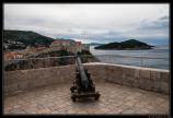 b220417 - 400D - 0137 - Raw -1500px
