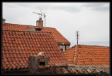 b220417 - 400D - 0127 - Raw -1500px