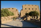 b071121 - 5543 - Temple de Karnak